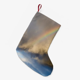 Petite Chaussette De Noël rébellion arc-en-ciel