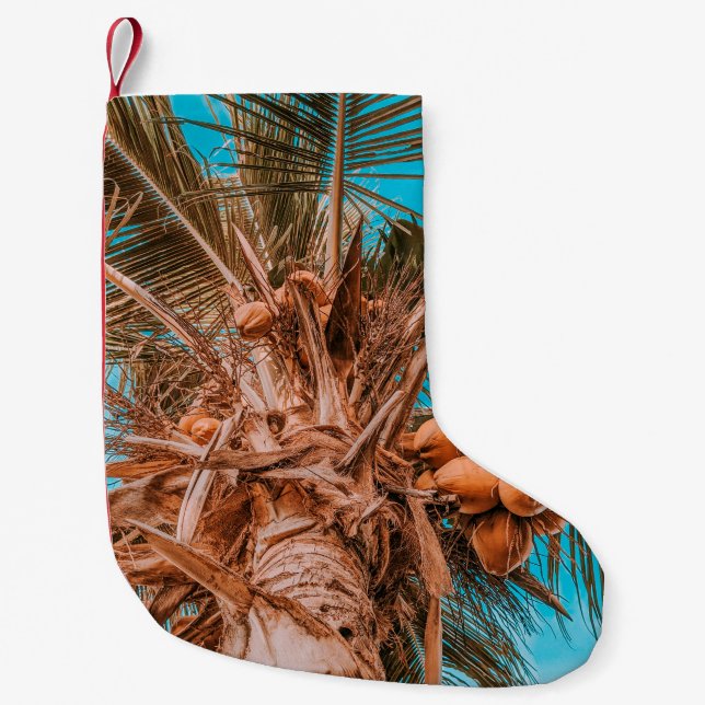 PETITE CHAUSSETTE DE NOËL RECHERCHE DU COCOTIER (Devant)