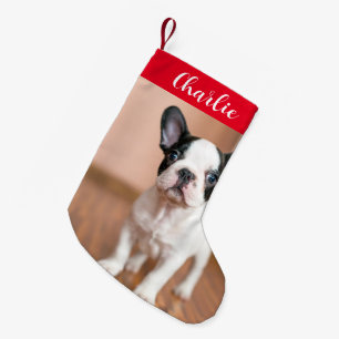 Petite Chaussette De Noël Red Green Dog Photo Nom personnalisé