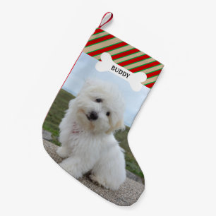 Petite Chaussette De Noël Red Green Lines Chien Bone Pet Photo