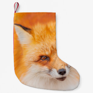 Petite Chaussette De Noël Renard rouge japonais se reposant, dormant et joua