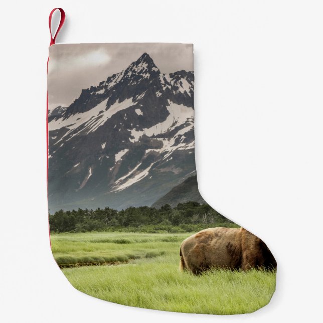 Petite Chaussette De Noël Rive de l'Alaska, grizzli (Devant)