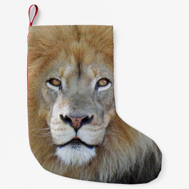 Petite Chaussette De Noël Roi du lion de jungle (Devant)