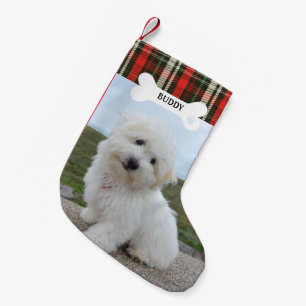 Petite Chaussette De Noël Rouge Vert Plaid Russe Chien Os Animal Photo