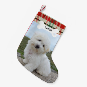 Petite Chaussette De Noël Rouge Vert Plaid Russe Chien Os Animal Photo