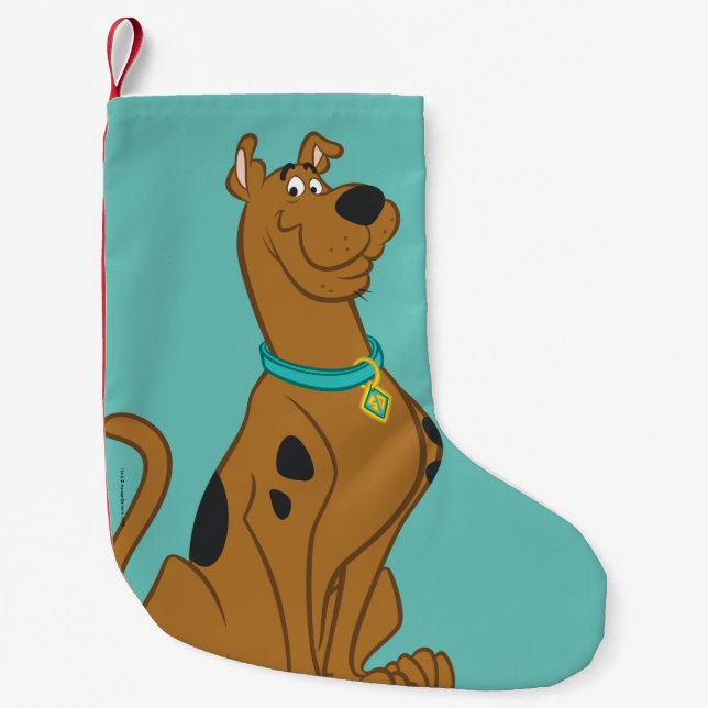 Petite Chaussette De Noël Scooby-Doo Cuter Plus que mignonne (Devant)