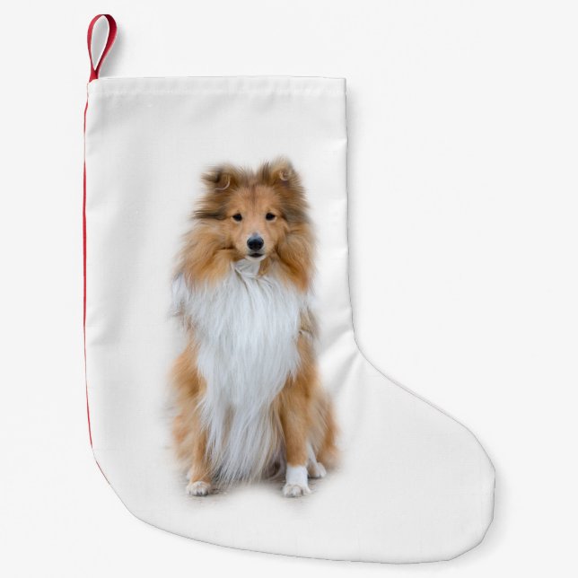 Petite Chaussette De Noël Sheltie Shetland Sheepdog (Devant)