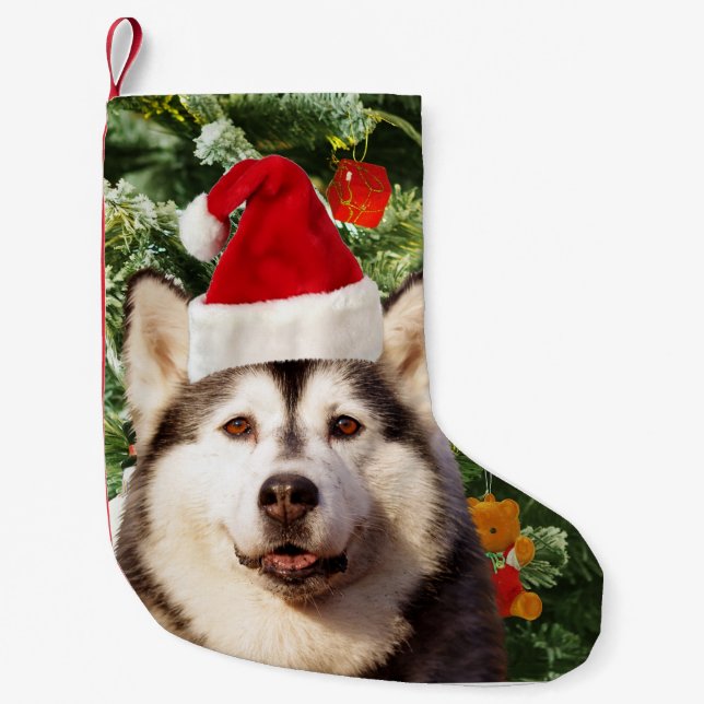 Petite Chaussette De Noël Sibérie Husky Arbre de Noël Ornements Snowman (Devant)