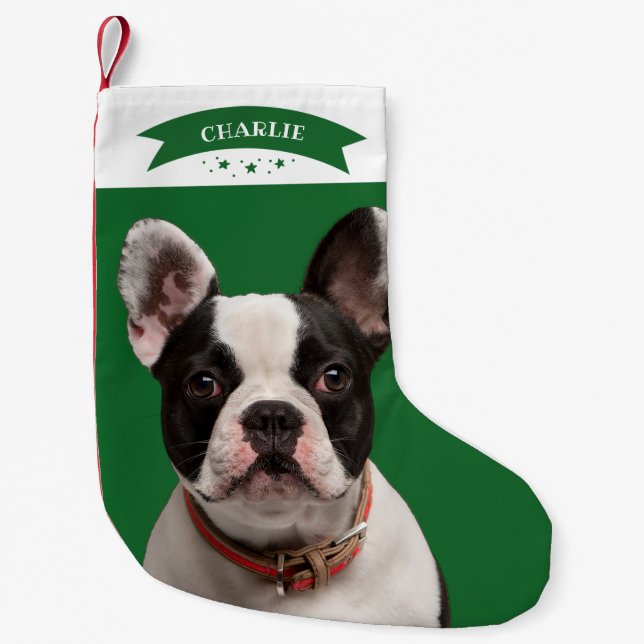 Petite Chaussette De Noël Simple mignon Photo Personnalisée Chien (Devant)