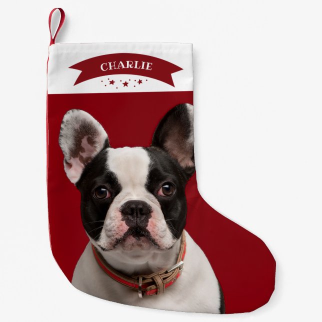 Petite Chaussette De Noël Simple mignon Photo Personnalisée Chien (Devant)