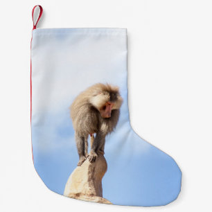 Petite Chaussette De Noël Singe babouin au sommet d'une montagne