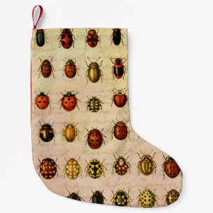 Petite Chaussette De Noël Spécimen de coccinelle vintage Motif Insecte antiq