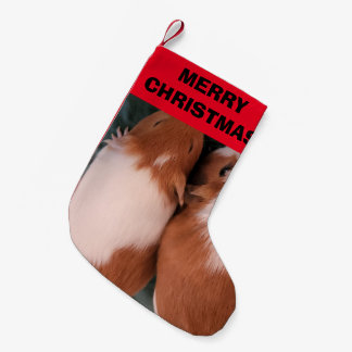 Petite Chaussette De Noël Stocks de cochons de Guinée