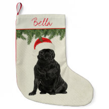 Style de cru du Staffordshire Terrier