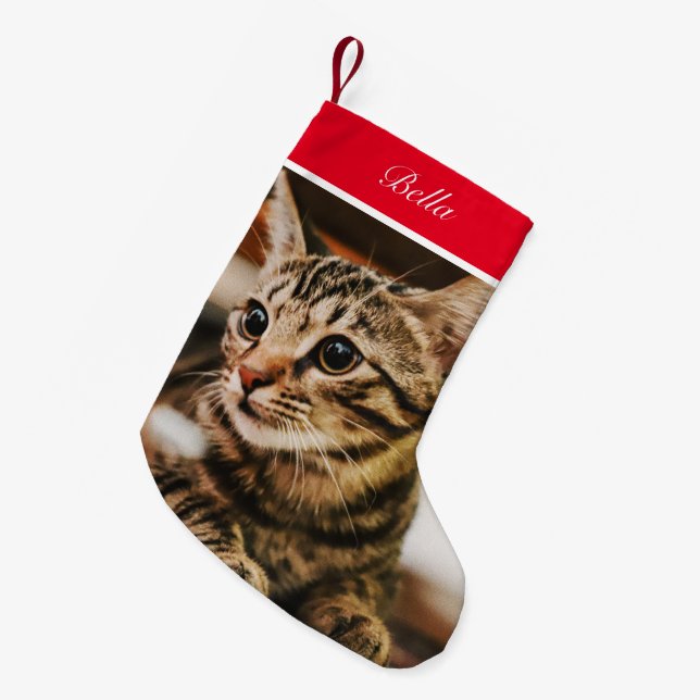 Petite Chaussette De Noël Tabby American Shorthair Custom (Devant (Accrochage))