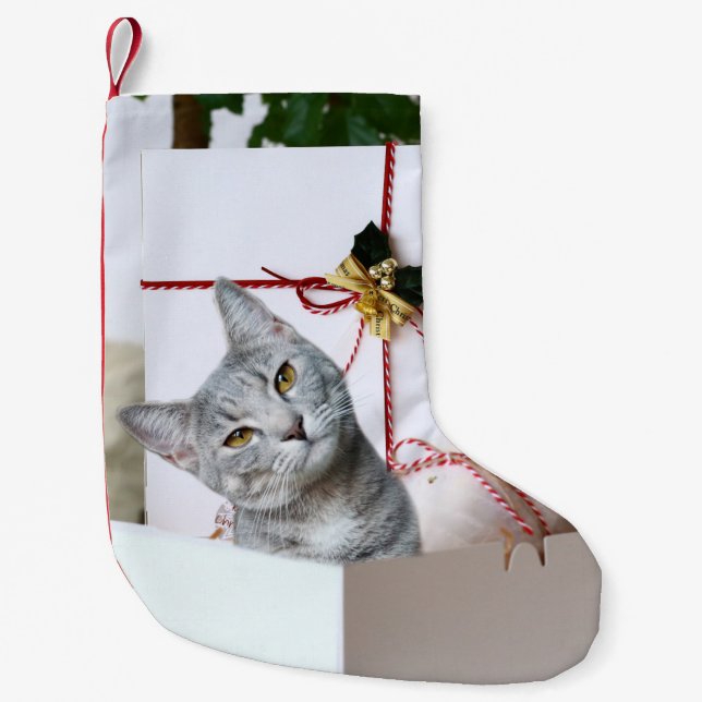 Petite Chaussette De Noël Tabby gris Noël (Devant)
