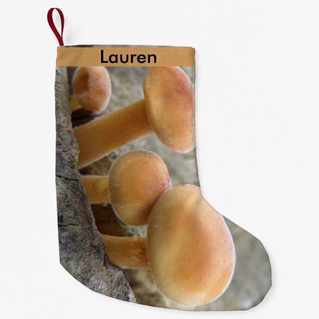 Petite Chaussette De Noël Tabourets sur un tronc d'arbre Personnalisé (Devant)