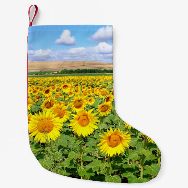 Petite Chaussette De Noël Terrain de tournesol (Devant)