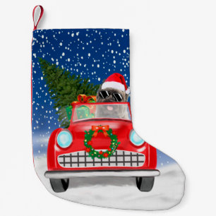 Petite Chaussette De Noël Terrier Cairn Chien Conduisant une Voiture Dans la