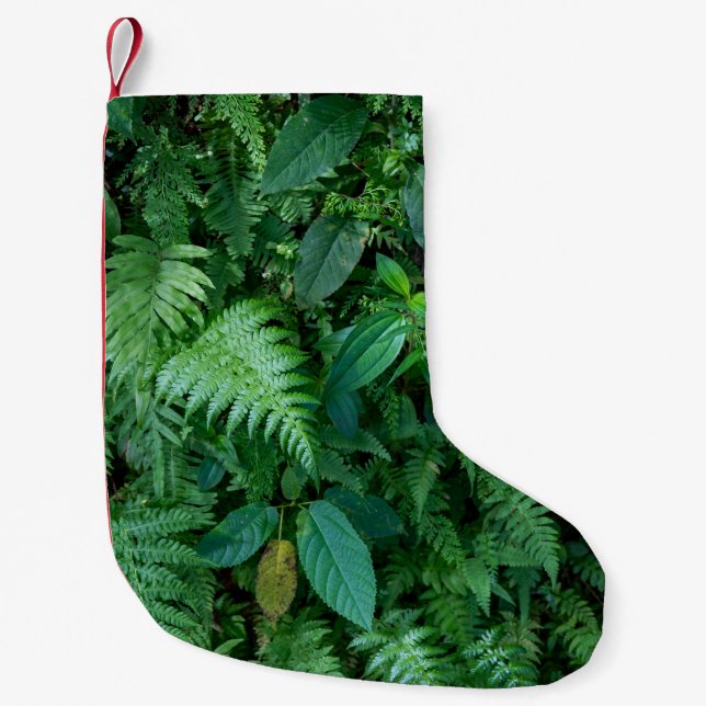 Petite Chaussette De Noël Texture de feuillage de l'herbe de fougère verte (Devant)