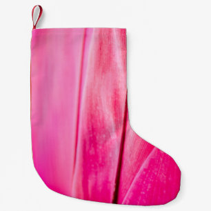 Petite Chaussette De Noël Texture plante feuille rose rouge