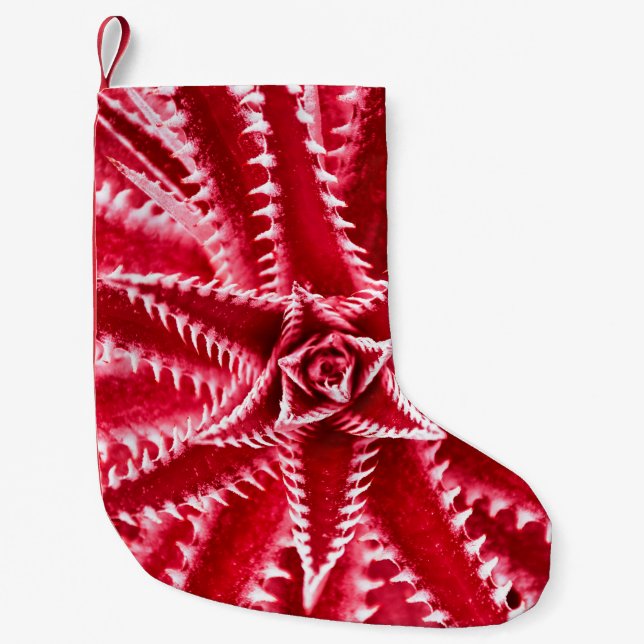 Petite Chaussette De Noël thorn cactus,natural pattern,abstract red backgrou (Devant)