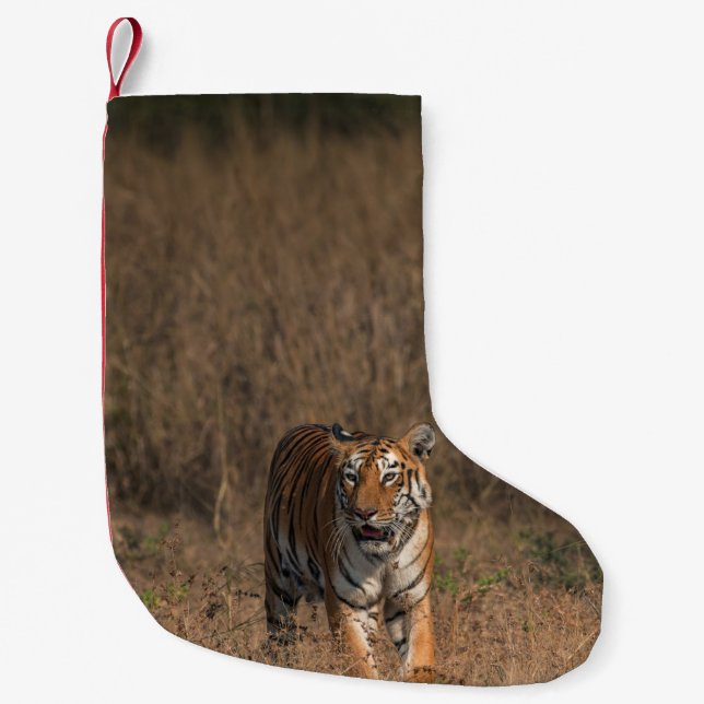 PETITE CHAUSSETTE DE NOËL TIGER PORTRAIT (Devant)