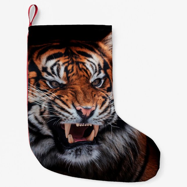 Petite Chaussette De Noël Tigre de Sumatra (Panthera tigris sumatrae) esthét (Devant)