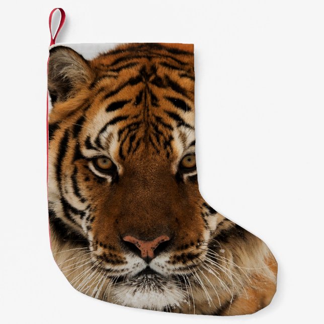 Petite Chaussette De Noël Tir de Sibérie (Devant)