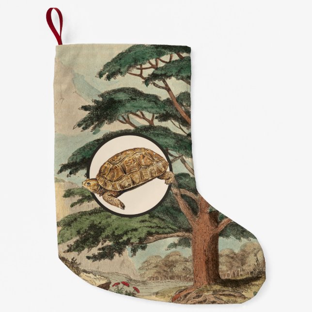 Petite Chaussette De Noël Tortue de désert dans l'illustration d'habitat (Devant)