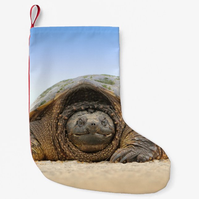 PETITE CHAUSSETTE DE NOËL TORTUE DE SABLE GRIS (Devant)