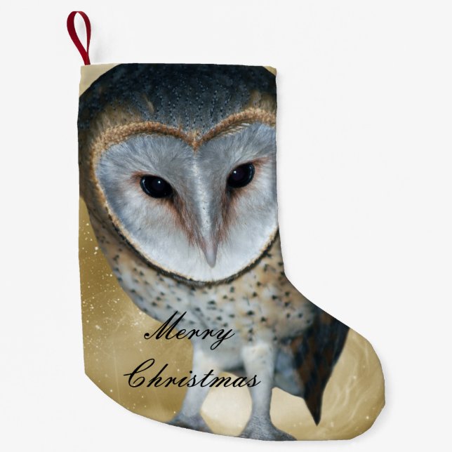 Petite Chaussette De Noël Un mignon petit imaginaire de Chouette (Devant)