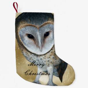 Petite Chaussette De Noël Un petit imaginaire mignon de hibou de grange