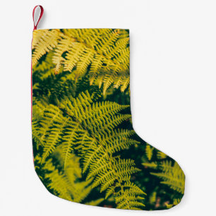 Petite Chaussette De Noël Un plante de fougères vertes avec des ombres. blan