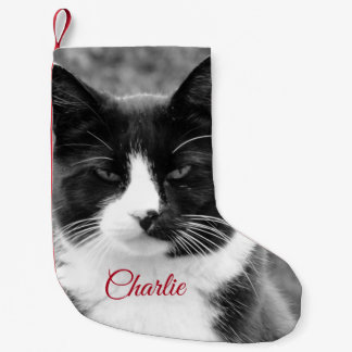 Petite Chaussette De Noël Vacances personnalisées Chat ou Chien