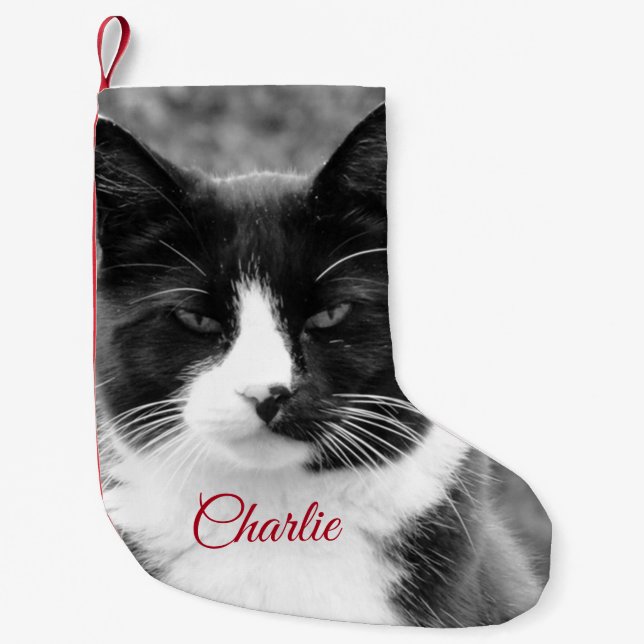 Petite Chaussette De Noël Vacances personnalisées Chat ou Chien (Devant)