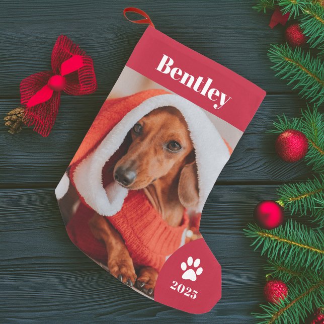Petite Chaussette De Noël Vacances photo pour animaux de compagnie personnal (Créateur téléchargé)