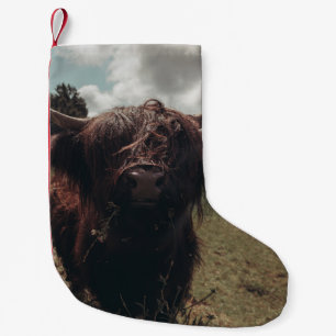 Petite Chaussette De Noël Vache écossaise de la région montagneuse noire pât