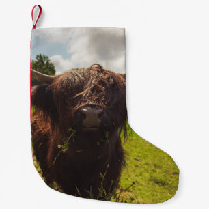 Petite Chaussette De Noël Vache noire pâturage vert champ soleil