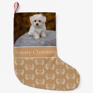 Petite Chaussette De Noël Votre animal de compagnie