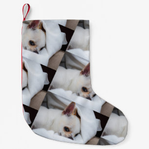 Petite Chaussette De Noël Votre chiot chien de compagnie photo personnalisée