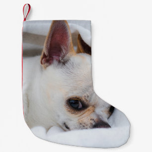 Petite Chaussette De Noël Votre chiot chien de compagnie photo personnalisée