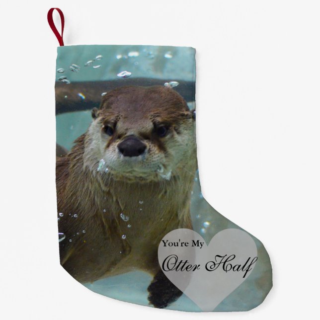 Petite Chaussette De Noël Votre ma natation de loutre de rivière de brun de (Devant)