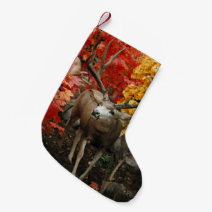 Petite Chaussette De Noël Whitetail En Automne