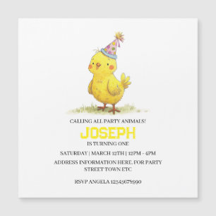 Petite ferme de poussins Anniversaire poulet