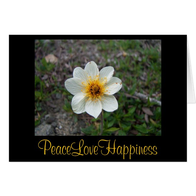 Petite Fleur blanche (Devant horizontal)