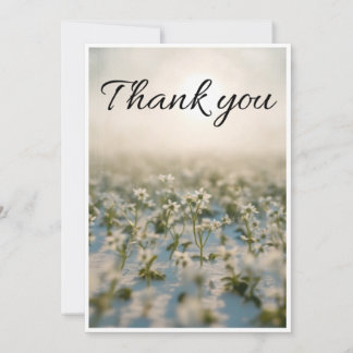 petite fleur blanche éparpillée sur une carte de r