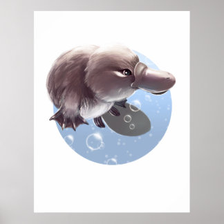 Petite Platypus Illustré Poster d'impression