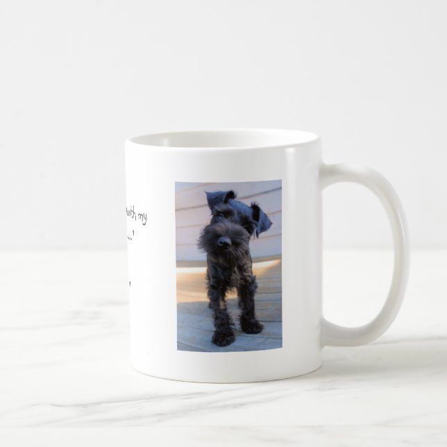 Petite tasse de café de chiot de Schnauzer (Droite)