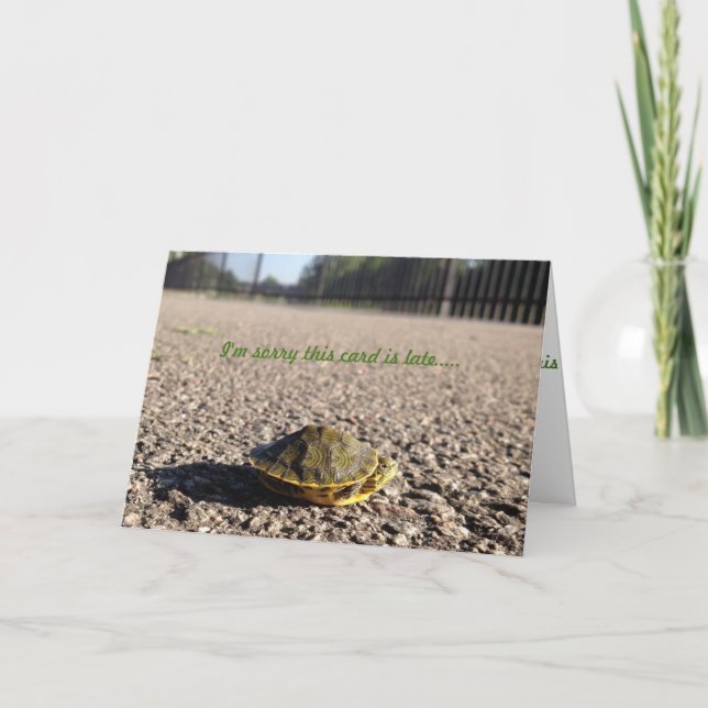 petite tortue carte d'anniversaire tardive (Devant)